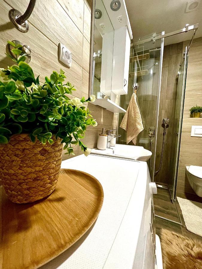 Apartament Aleksic *
