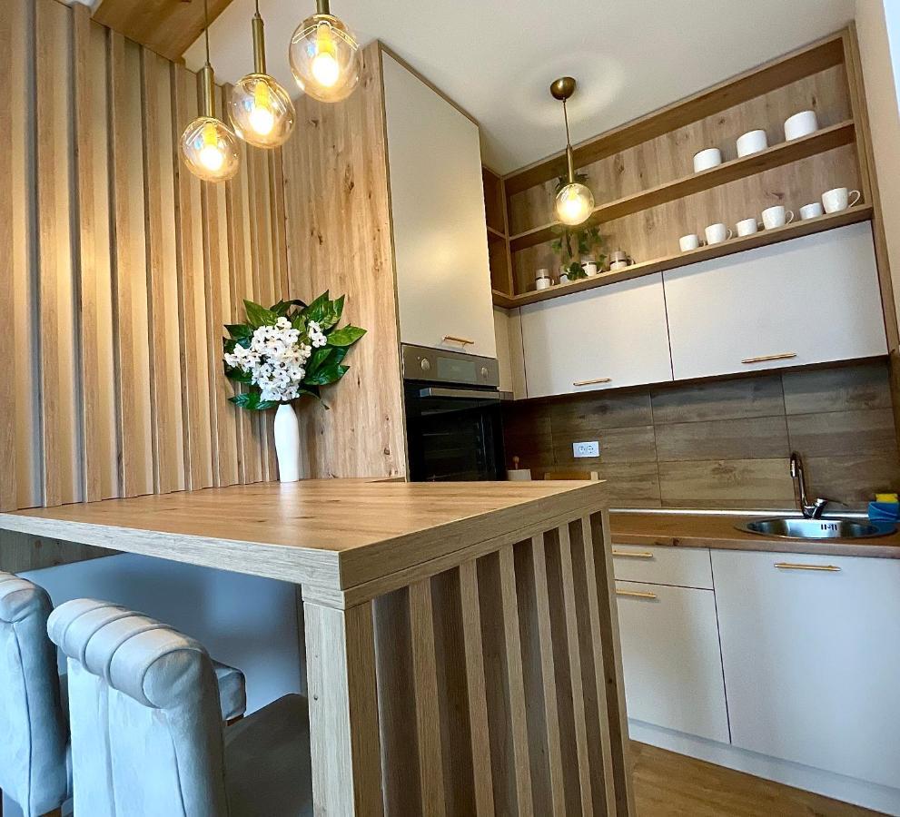 Apartament Aleksic *